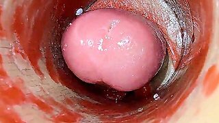 Camera Inside Unfathomable Snatch Captures Dose Jizz Flow Of Semen Asmr